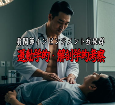 肩関節インピンジメント症候群は、肩関節の運動、特に腕を上げる動作中に、肩関節周辺の軟部組織が圧迫されることで痛みが生じる疾患群として定義されます 。 本記事では、肩関節インピンジメント症候群の患者が腕を上げる際に経験する疼痛が増悪する現象について、その根底にある解剖学的および運動学的メカニズムを詳細に解説してあります。